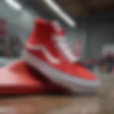 Magnificent A Comprehensive Exploration of All-Red Sk8 Hi Vans