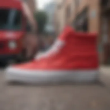 Notable A Comprehensive Exploration of All-Red Sk8 Hi Vans