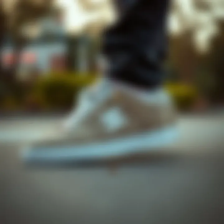 A Comprehensive Guide to Affordable DC Shoes for Men Summary