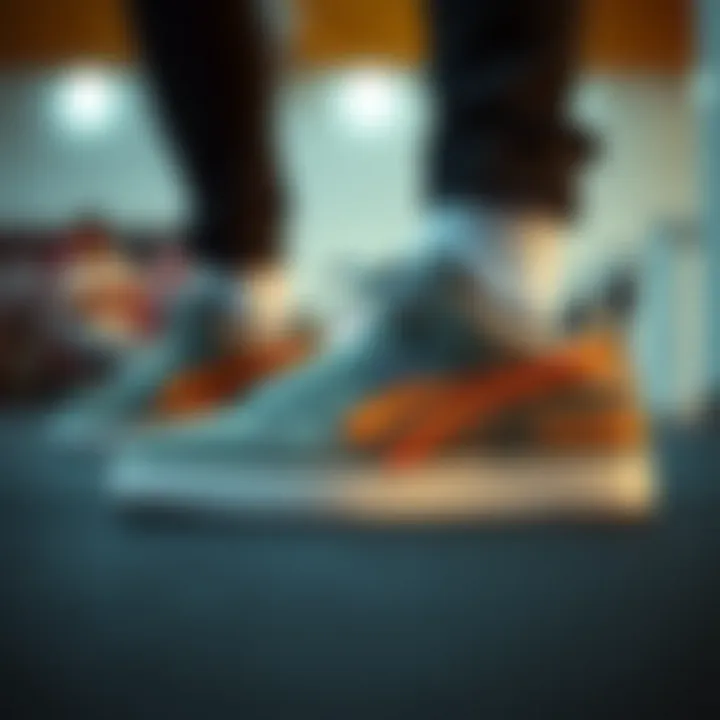 Performance-Oriented Skateboard Shoe Design Skateboard shoes designed for optimal performance on the board