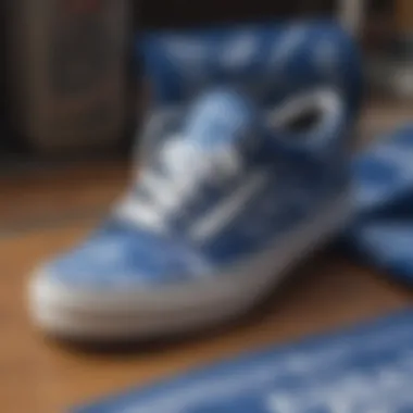 Stylized arrangement of blue bandana print Vans with skate accessories