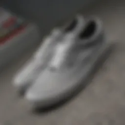 A close-up of grey vans showcasing their unique design