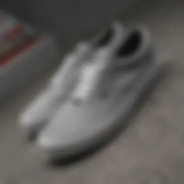 A close-up of grey vans showcasing their unique design