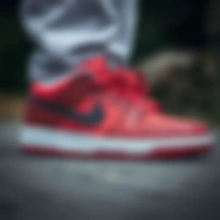 Care and maintenance tips for prolonging the life of Nike SB shoes in larger sizes