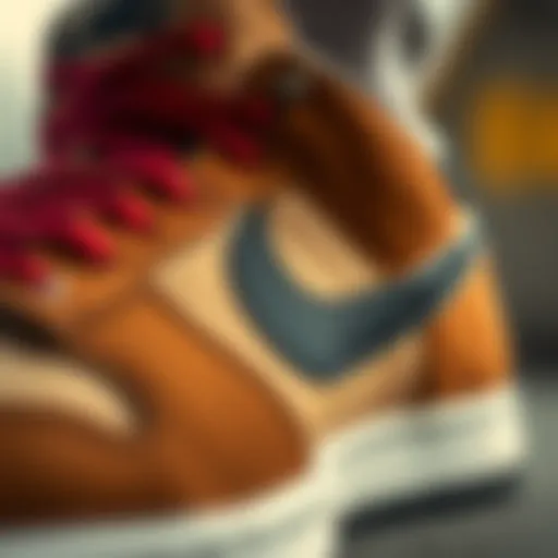 Close-up of Nike SB Shoe Fitment Close-up view of Nike SB shoe fitment in size 15, showcasing its unique design