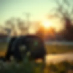 Exploring the Black Sidebag: Functionality and Aesthetics in Skateboarding Introduction