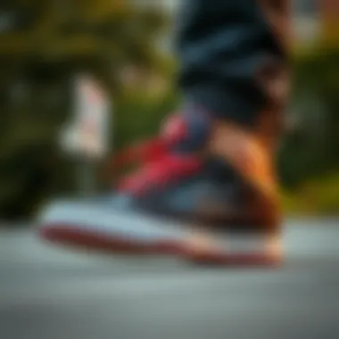 Notable Exploring the Finest DC Skate Shoes