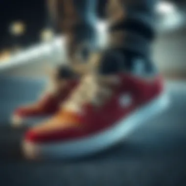 Exploring the Finest DC Skate Shoes Summary Exploring the Finest DC Skate Shoes Summary