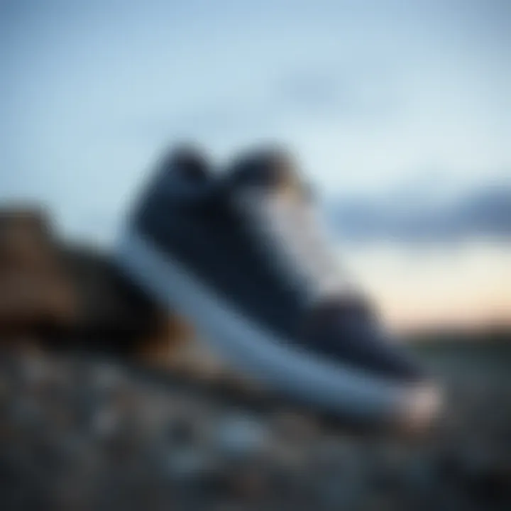 Lakai Cambridge Shoes: A Comprehensive Analysis Summary