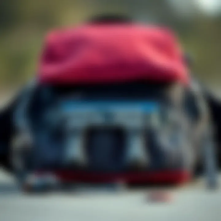 Essential Features of Mini Bookbags Close-up of the essential features of a mini bookbag