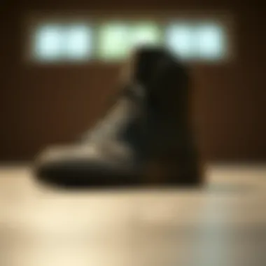 The Court Borough 2 High Top Sneaker: An Examination Within the Skateboarding Landscape Summary