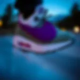 The Evolution of Nike with the Purple Swoosh: A Skateboarding Perspective Introduction