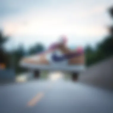 Notable The Evolution of Nike with the Purple Swoosh: A Skateboarding Perspective