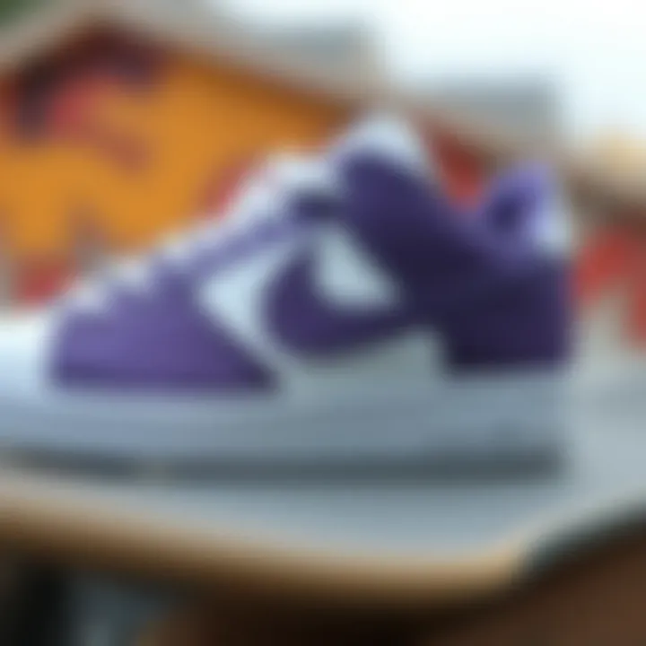 The Evolution of Nike with the Purple Swoosh: A Skateboarding Perspective Summary
