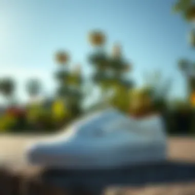 Ecological Impact of Vans Blanc de Blanc Vans Blanc de Blanc in an environmentally conscious setting