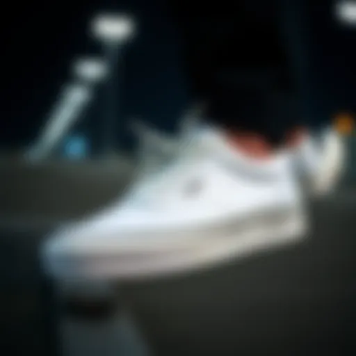 Vans Blanc de Blanc sneaker showcasing its unique design elements
