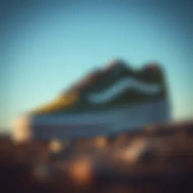 Vans MTE Low showcasing its unique design and construction